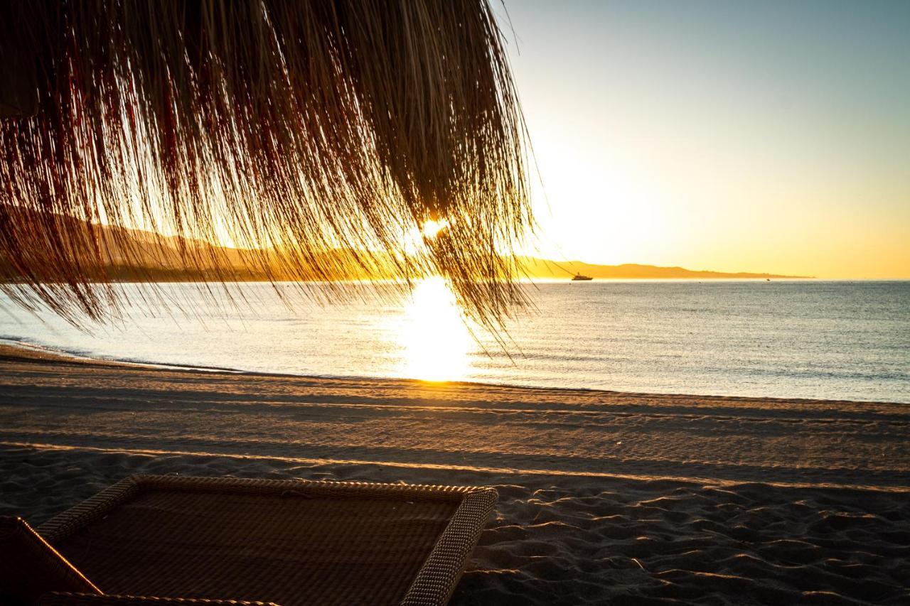 Banus - Lis Banus *